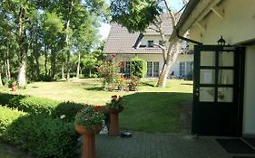 Auszeit Auf Ruegen